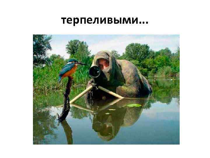 терпеливыми. . . 