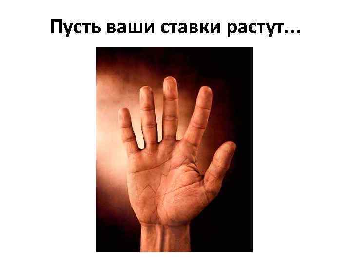 Пусть ваши ставки растут. . . 