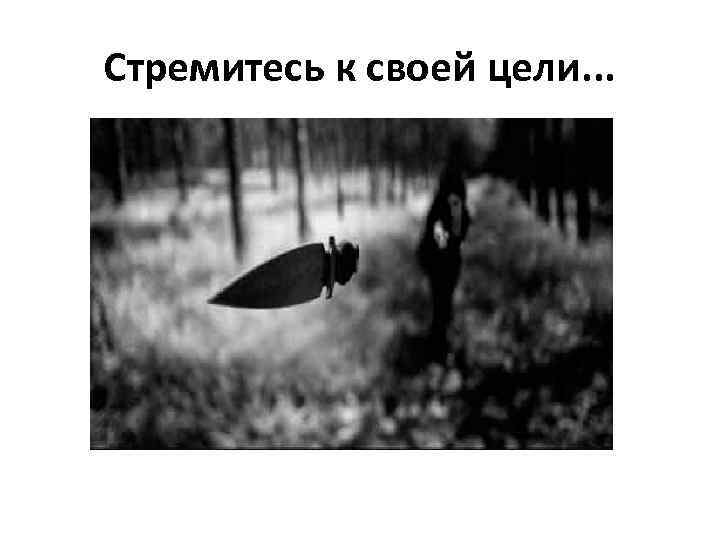 Стремитесь к своей цели. . . 