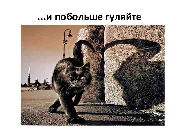 . . . и побольше гуляйте 