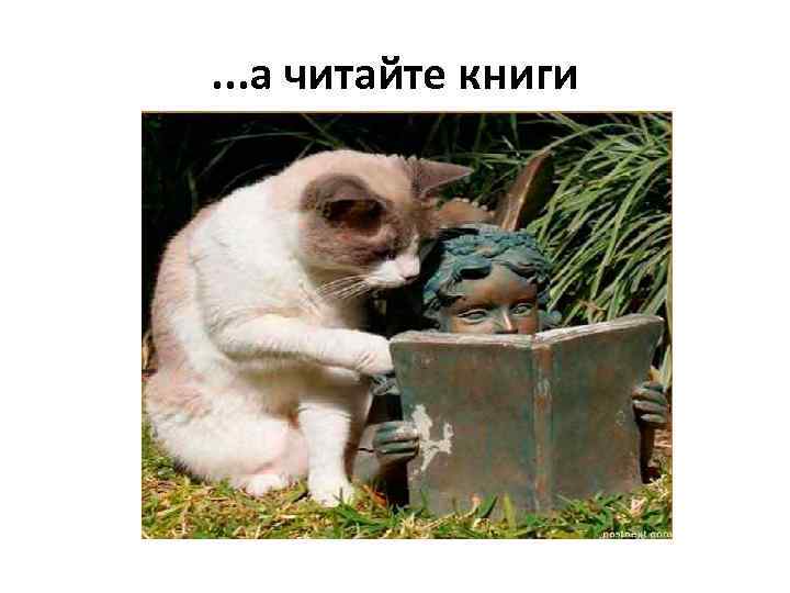 . . . а читайте книги 