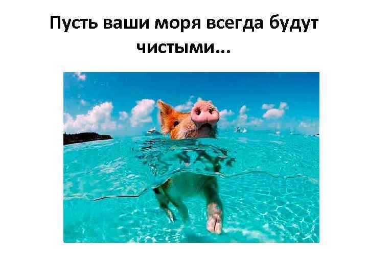 Пусть ваши моря всегда будут чистыми. . . 
