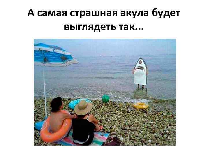 А самая страшная акула будет выглядеть так. . . 