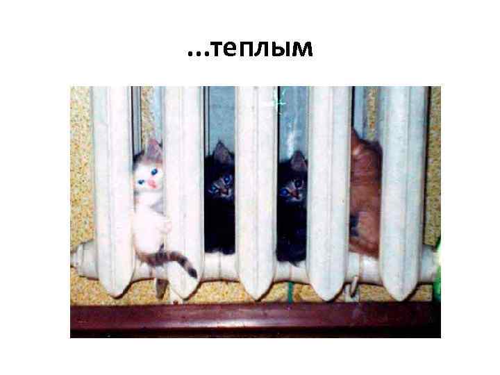 . . . теплым 