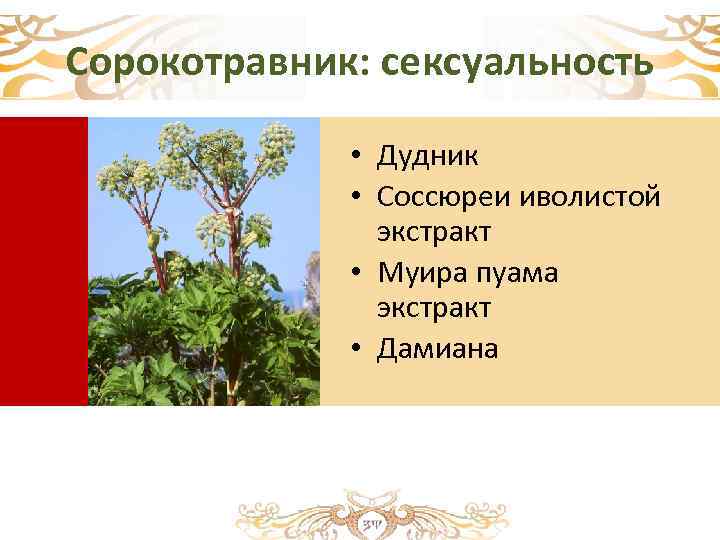 Сорокотравник: сексуальность • Дудник • Соссюреи иволистой экстракт • Муира пуама экстракт • Дамиана