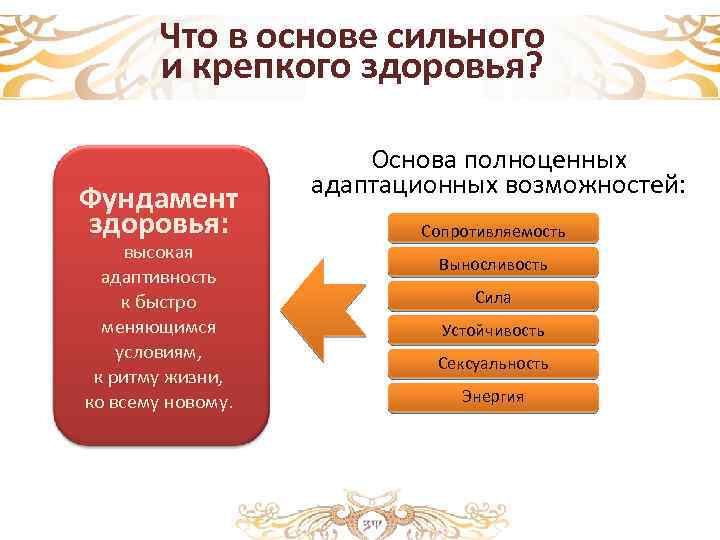 Что в основе сильного и крепкого здоровья? Фундамент здоровья: высокая адаптивность к быстро меняющимся