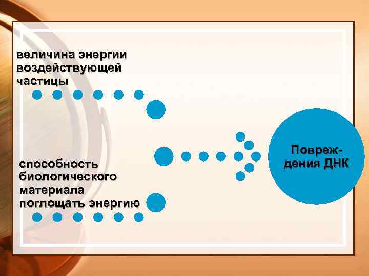 величина энергии воздействующей частицы способность биологического материала поглощать энергию Повреждения ДНК 