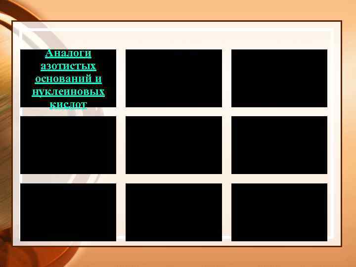 Аналоги азотистых оснований и нуклеиновых кислот 