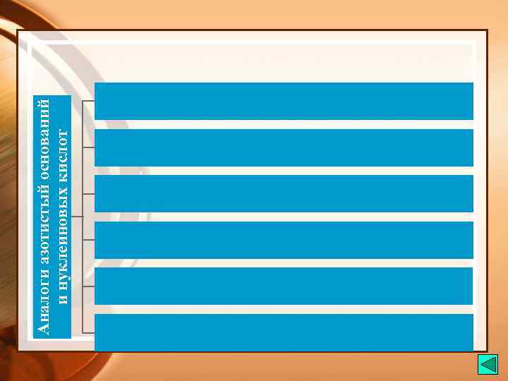 Аналоги азотистый оснований и нуклеиновых кислот 