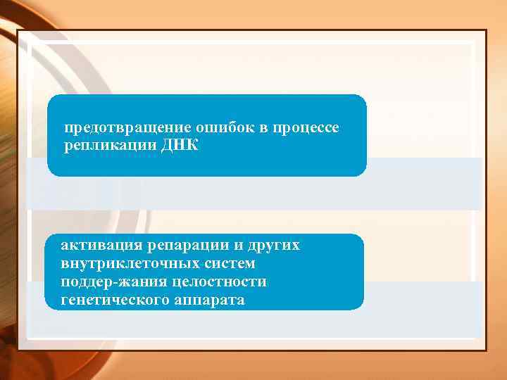 предотвращение ошибок в процессе репликации ДНК активация репарации и других внутриклеточных систем поддер жания