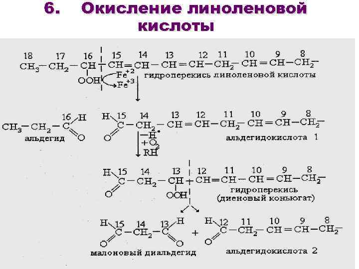 Составить схему участия усиленного перекисного окисления липидов в развитии патологии нейронов