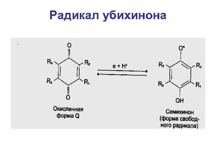 Перекисное окисление липидов схема