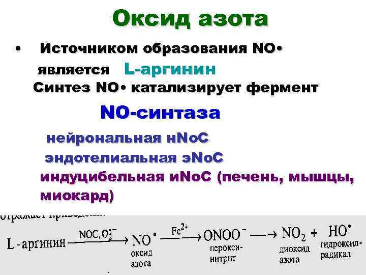 Синтез нитратов. Образование монооксида азота. Реакция образования оксида азота. Синтез оксида азота. Синтез оксида азота из аргинина.