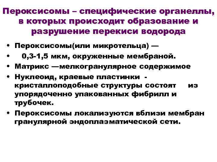 Пероксисомы – специфические органеллы, в которых происходит образование и разрушение перекиси водорода • Пероксисомы(или