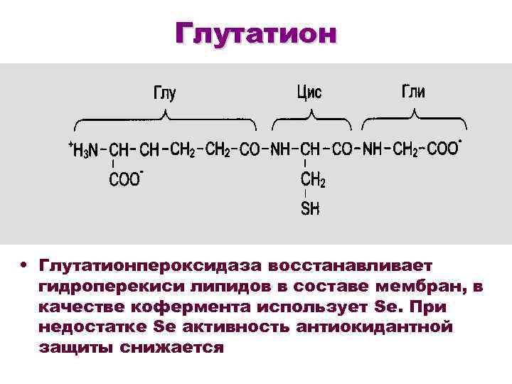 Перекисное окисление липидов схема