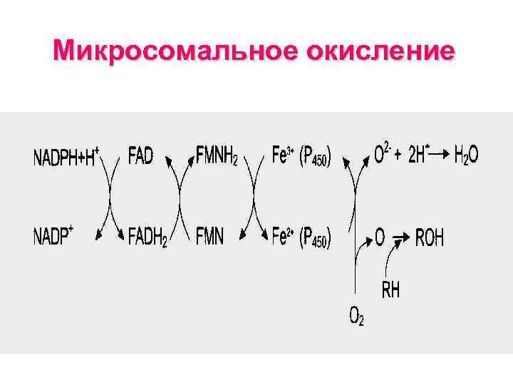 Выберите схемы показывающие процесс окисления s0 s 2