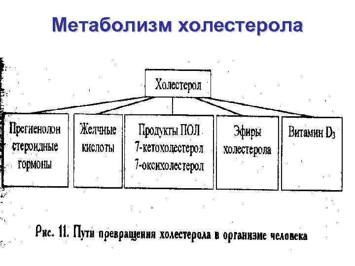 Перекисное окисление липидов схема