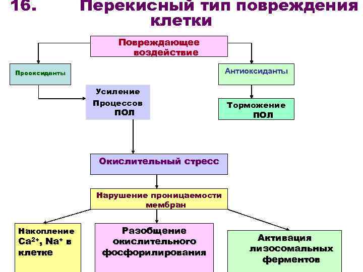 Составить схему участия усиленного перекисного окисления липидов в развитии патологии нейронов