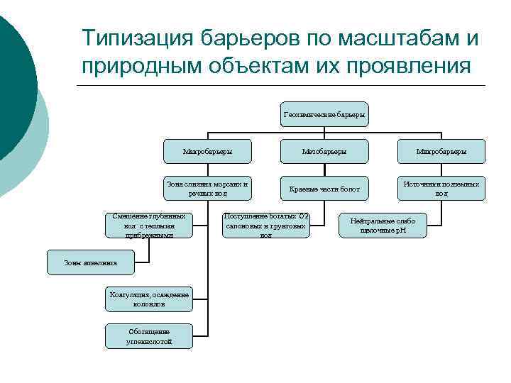 Типизация барьеров по масштабам и природным объектам их проявления Геохимические барьеры Макробарьеры Мезобарьеры Микробарьеры