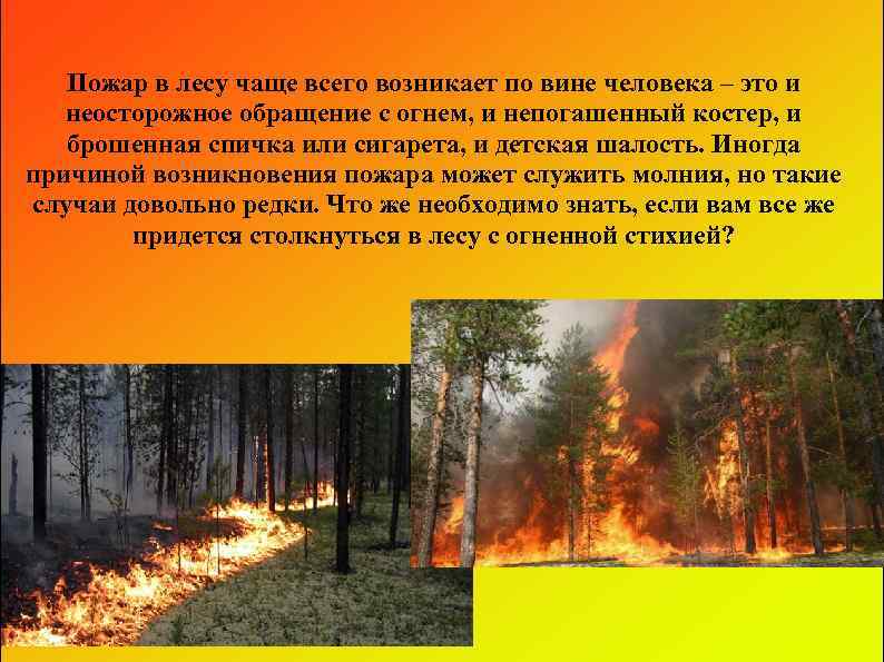 Пожар в лесу чаще всего возникает по вине человека – это и неосторожное обращение