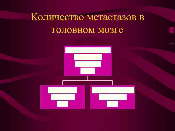 Количество метастазов в головном мозге 