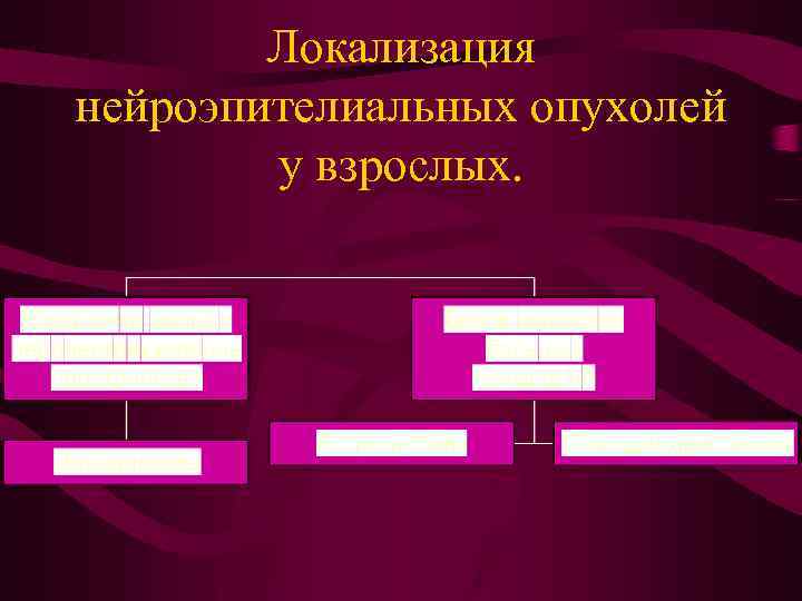 Локализация нейроэпителиальных опухолей у взрослых. 
