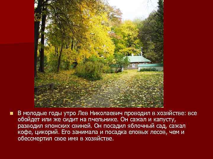 n В молодые годы утро Лев Николаевич проводил в хозяйстве: все обойдет или же