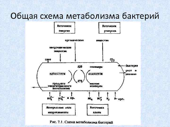 В зависимости от способа перемещения фоточувствительного элемента и носителя изображение все сканеры