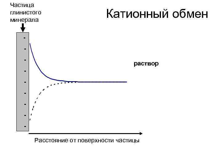 Частица глинистого минерала Катионный обмен - раствор Расстояние от поверхности частицы 