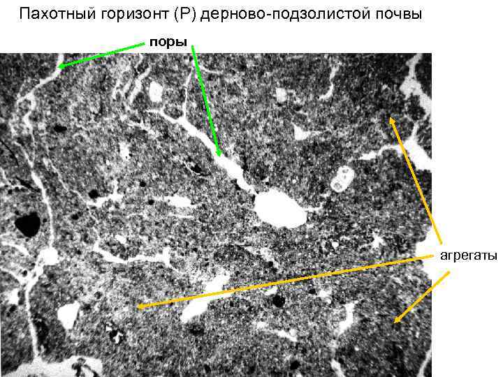 Пахотный горизонт (P) дерново-подзолистой почвы поры агрегаты 