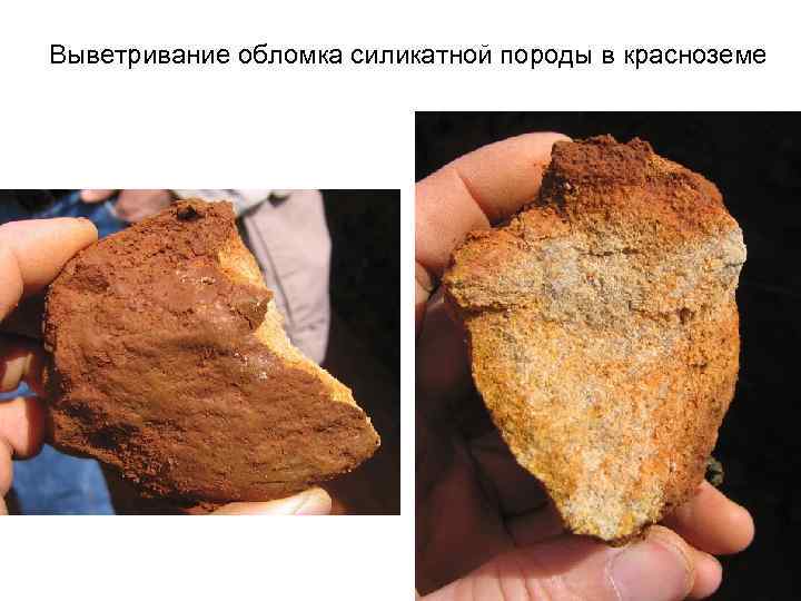 Выветривание обломка силикатной породы в красноземе 