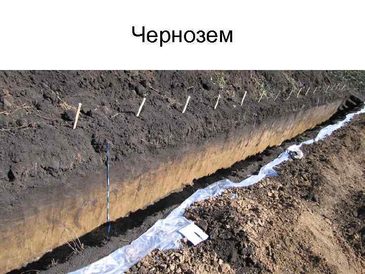 Чернозем 