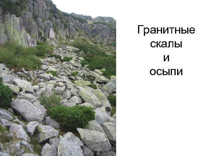 Гранитные скалы и осыпи 