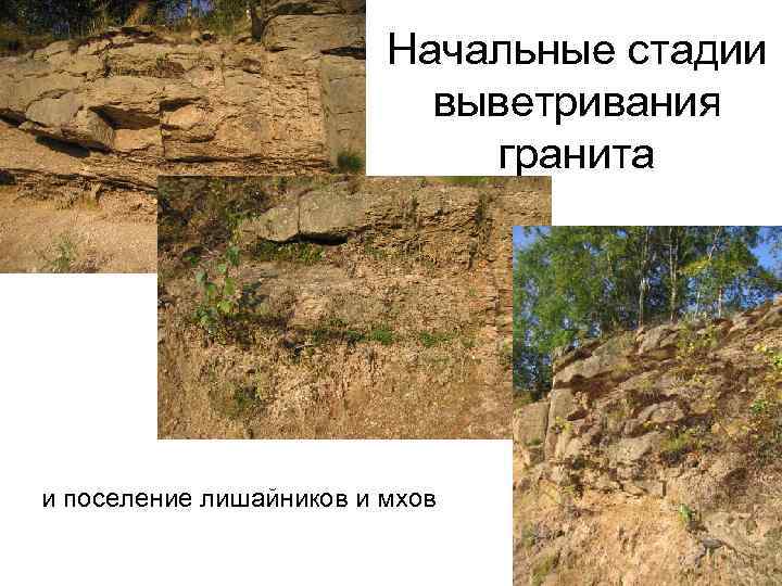 Начальные стадии выветривания гранита и поселение лишайников и мхов 
