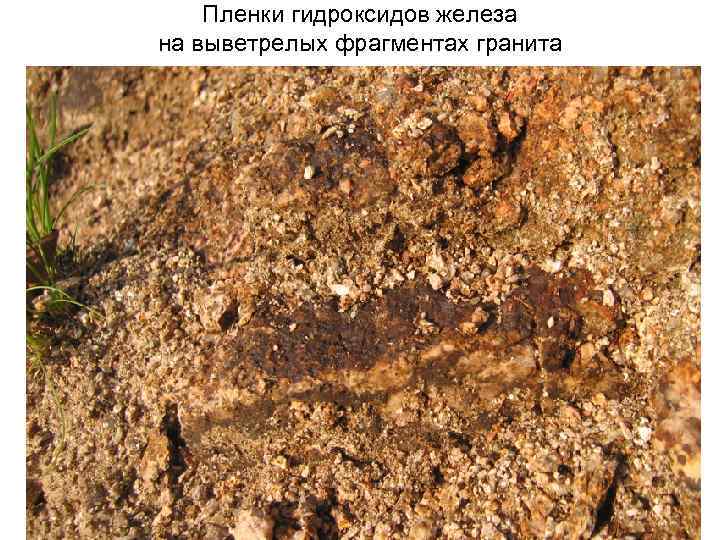 Пленки гидроксидов железа на выветрелых фрагментах гранита 