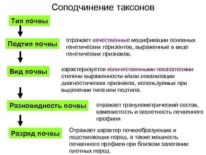Соподчинение таксонов Тип почвы Подтип почвы Вид почвы отражает качественные модификации основных генетических горизонтов,