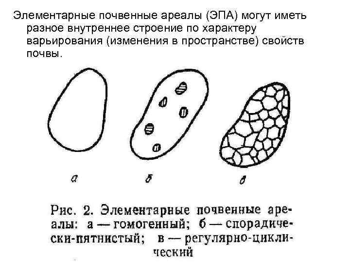 Элементарные почвенные ареалы (ЭПА) могут иметь разное внутреннее строение по характеру варьирования (изменения в