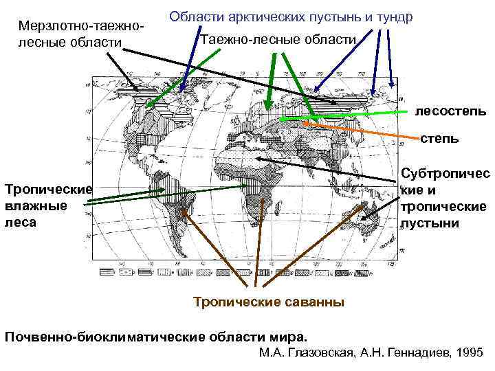 Мерзлотно-таежнолесные области Области арктических пустынь и тундр Таежно-лесные области лесостепь Субтропичес кие и тропические