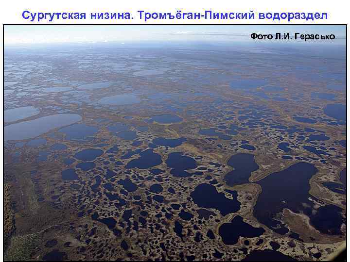 Сургутская низина. Тромъёган-Пимский водораздел Фото Л. И. Герасько 