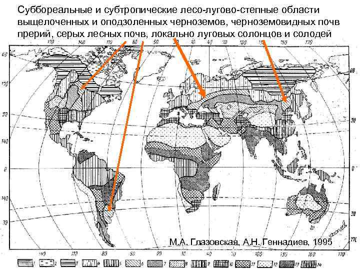 Пути повышения плодородия лесных почв