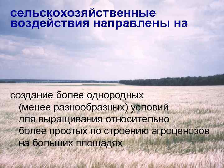 сельскохозяйственные воздействия направлены на создание более однородных (менее разнообразных) условий для выращивания относительно более