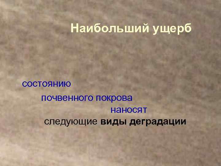 Наибольший ущерб состоянию почвенного покрова наносят следующие виды деградации 