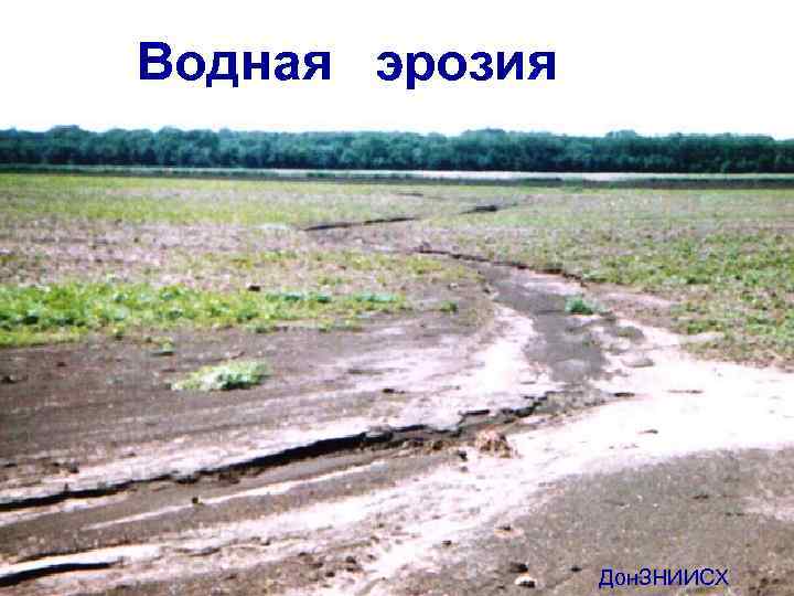 Водная эрозия Дон. ЗНИИСХ 