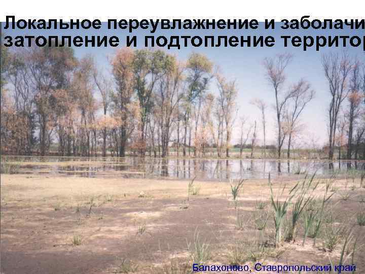 Локальное переувлажнение и заболачи затопление и подтопление территор Балахоново, Ставропольский край 