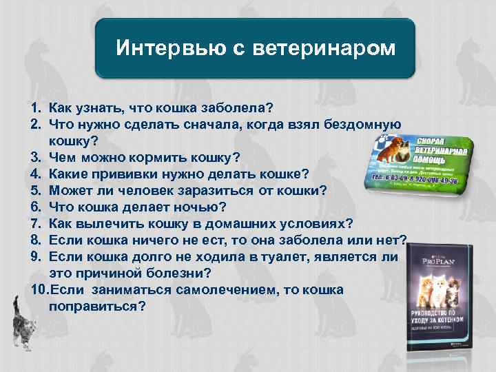 Интервью с ветеринаром 1. Как узнать, что кошка заболела? 2. Что нужно сделать сначала,