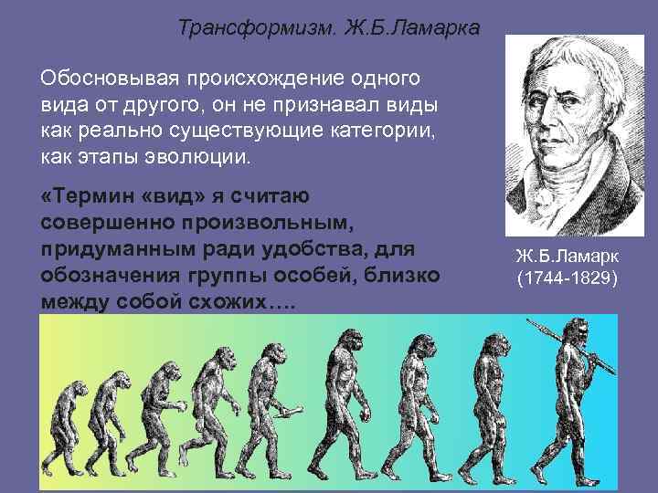 Начальный период развития человека. Трансформизм теория эволюции. Происхождение человека по Ламарку. Ламарк происхождение человека. Возникновение новых видов Ламарк.