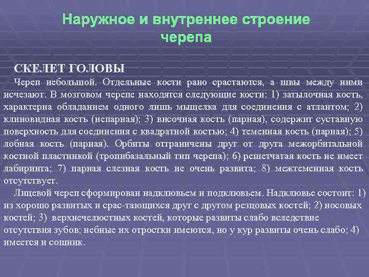 Наружное и внутреннее строение черепа СКЕЛЕТ ГОЛОВЫ Череп небольшой. Отдельные кости рано срастаются, а