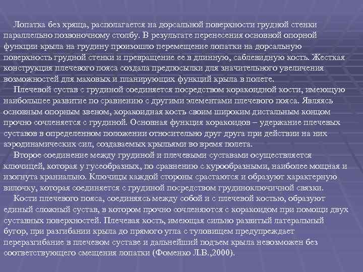 Лопатка без хряща, располагается на дорсальной поверхности грудной стенки параллельно позвоночному столбу. В результате