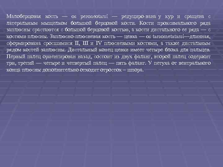 Малоберцовая кость — os peroneotarsi — редуциро вана у кур и сращена с латеральным