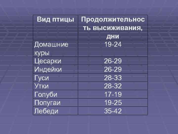 Продолжительность высиживания яиц. Вид птицы Продолжительнос ть высиживания, дни Домашние 19 -24 куры Цесарки